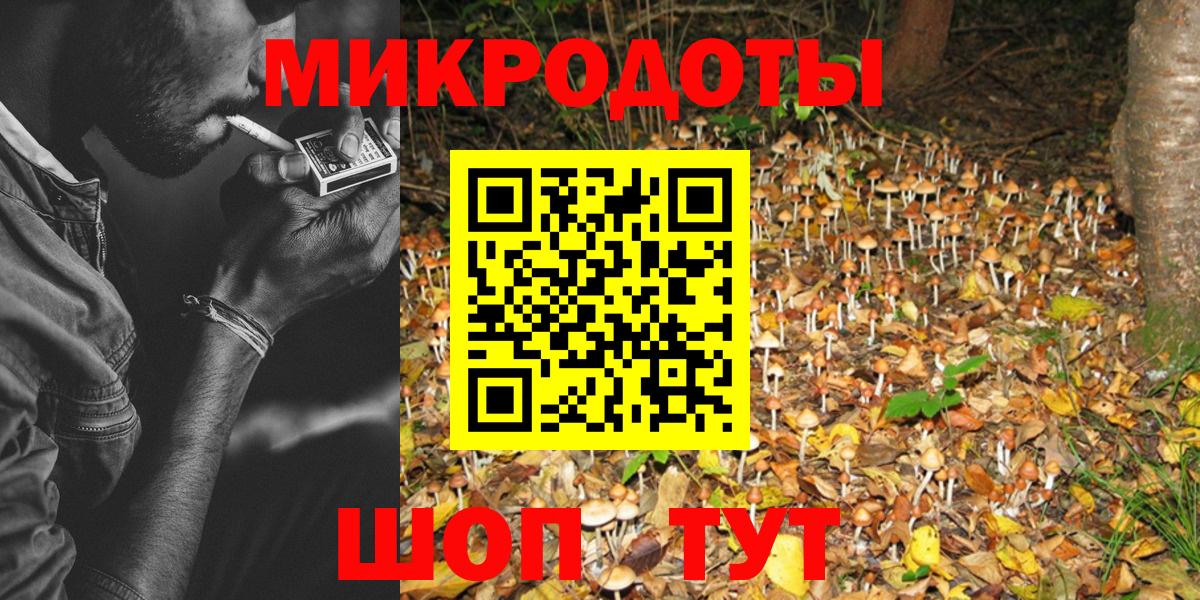 Псилоцибиновые грибы MAGIC MUSHROOMS Чернушка