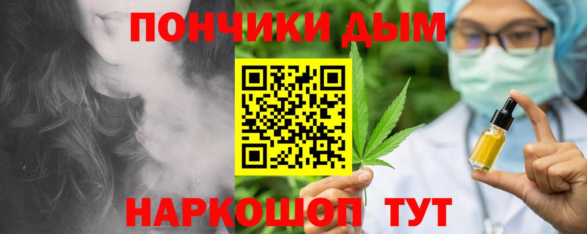 Каннабис сатива Чернушка